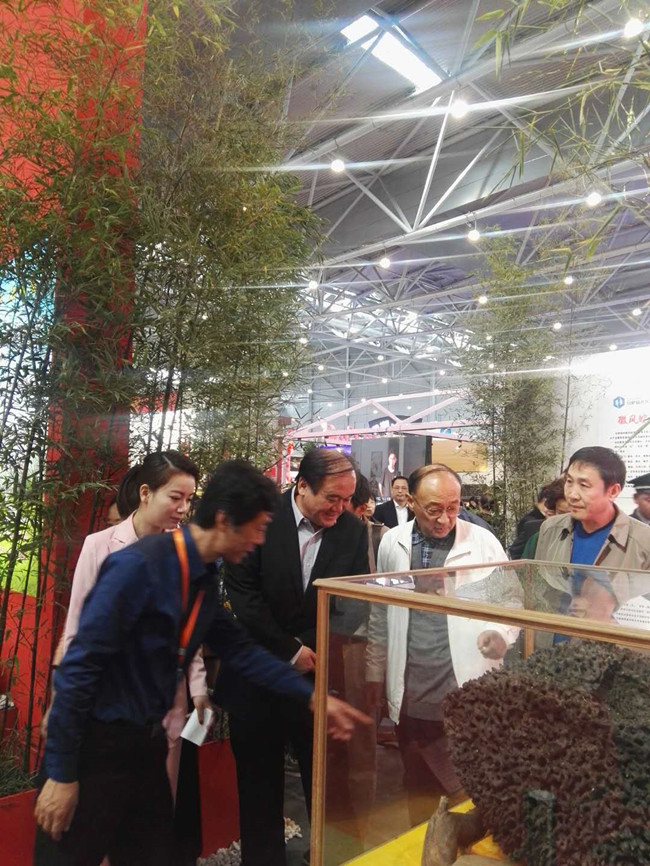 Z6·人生就是博(中国区)官方网站
