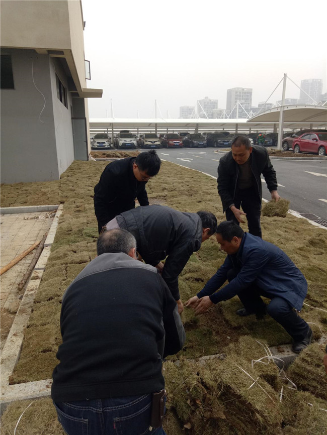 Z6·人生就是博(中国区)官方网站